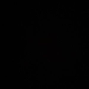 Meet your Posher, Mikyell